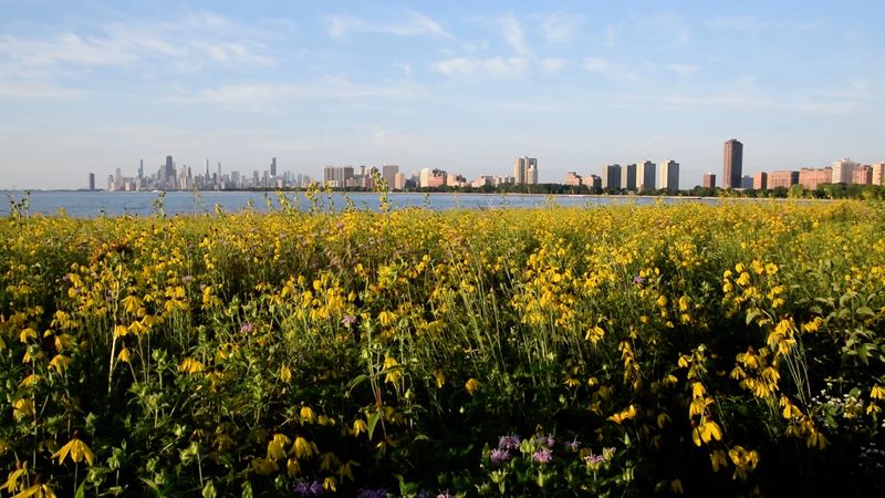Skyline Views From The Water's Edge