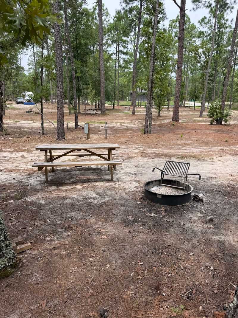 Sleep Under The Pines In A Tiny Cabin Or Campsite