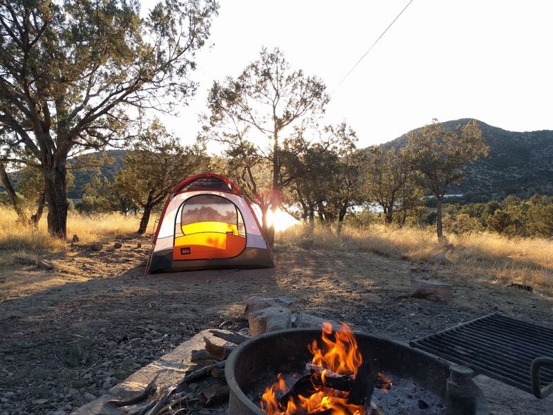 Sleeping Under Oak And Juniper Trees