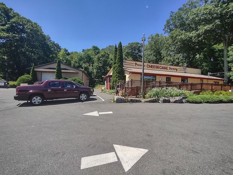 The Outdoor Deck: Where Patience Goes to Retire