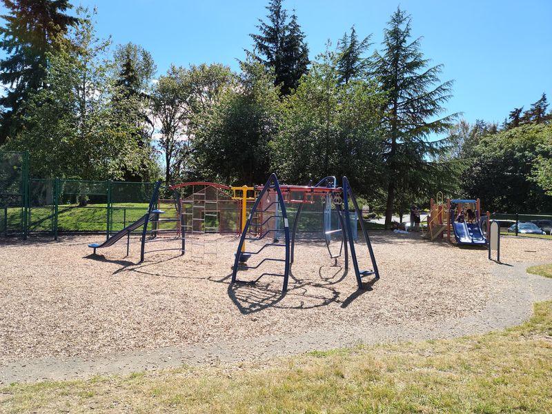 Slides Built Right Into The Hillside