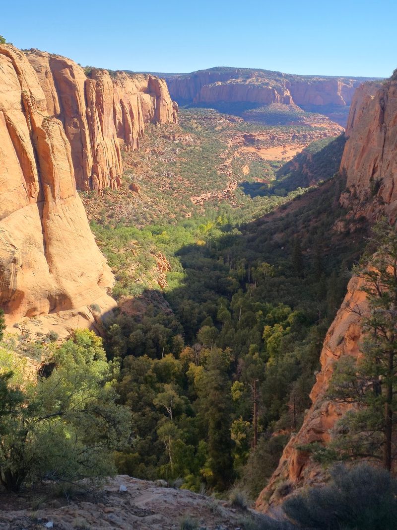 Slow Down, Look Up, And Let The Canyon Win