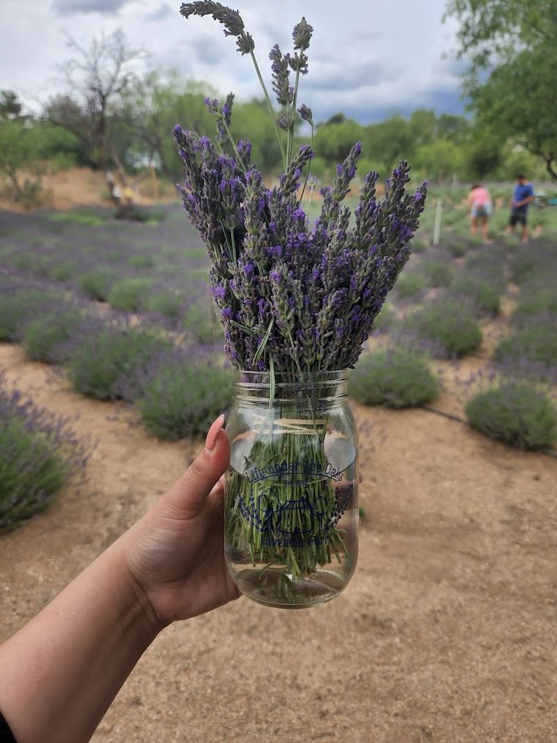 Small-Batch Lavender Products Worth Bringing Home Small-Batch Lavender Products Worth Bringing Home