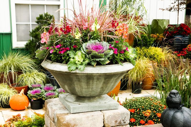 Small Gifts For The Plant Lover Who Has Everything Small Gifts For The Plant Lover Who Has Everything