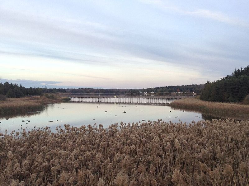 Community Spirit That Shows Up In Everyday Moments