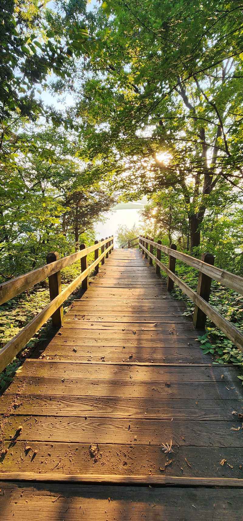 Sunsets That Stop Conversation