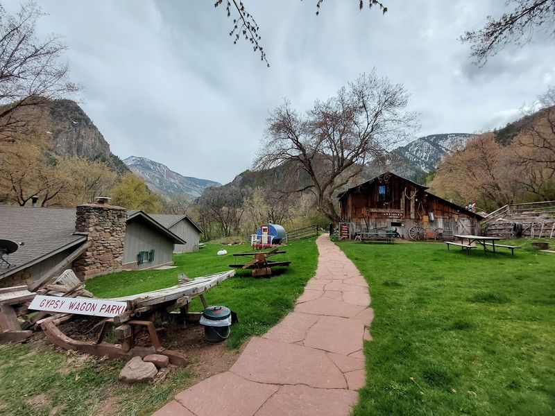 Pet-Friendly Policy and What It Changes About the Trip