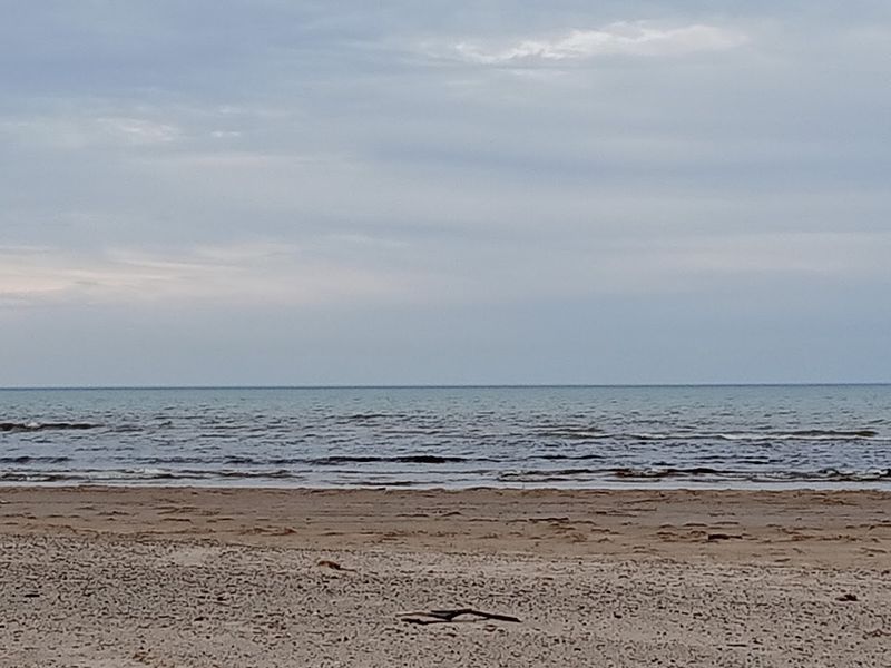 Pines, Dunes, And Subtle Sound