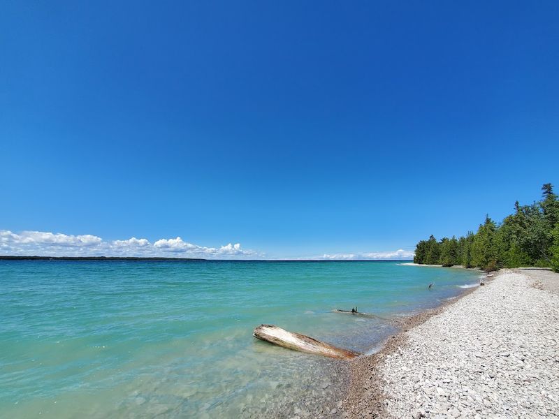 Trails Where Pines Edit The Wind