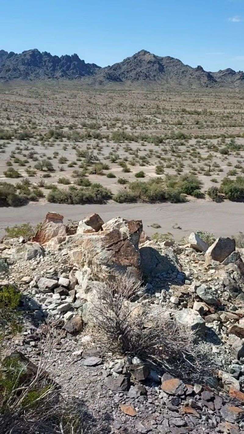 Smart Camping And Safety Tips Smart Camping And Safety Tips