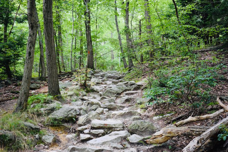 Smart Habits For Sharing The Trail Smart Habits For Sharing The Trail