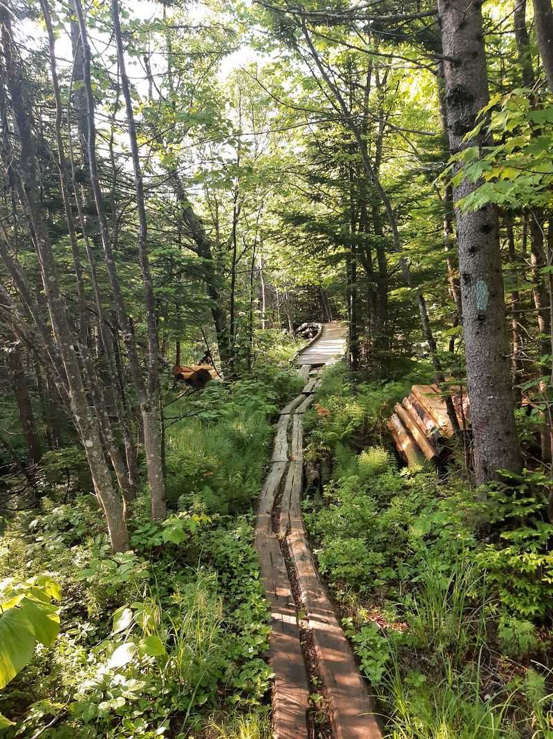 Smart Planning For A Wilderness Trailhead