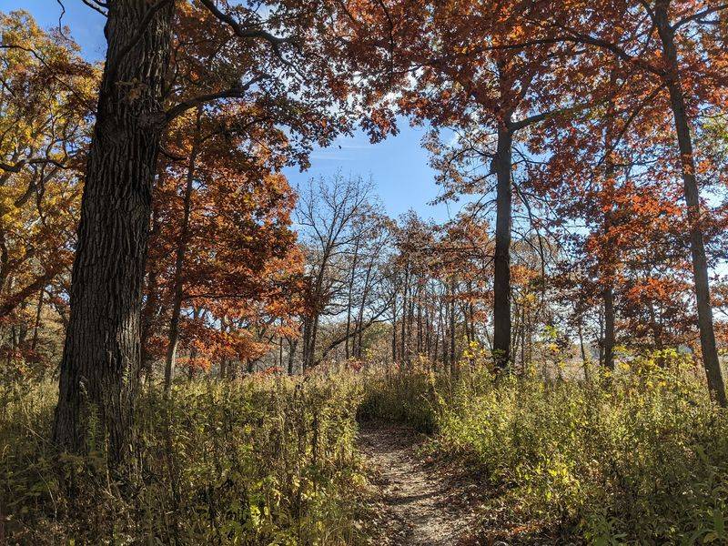 Smart Tips Before Your Fall Visit
