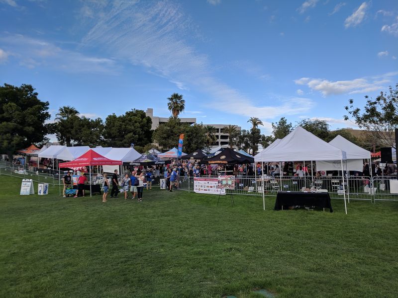 Smart Tips For Visiting The Festival