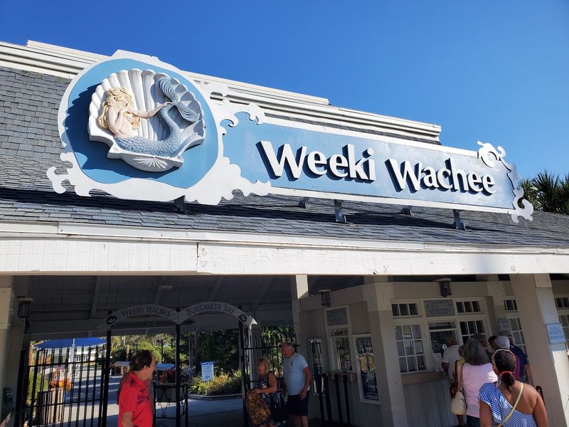 Smart Tips To Make the Most Of Your Visit