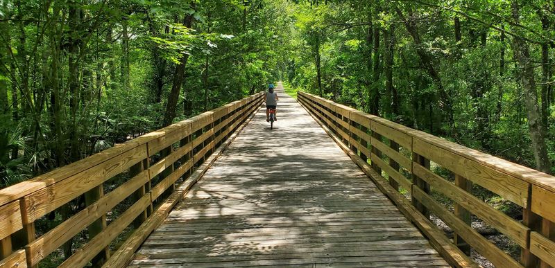 Shaded Canopy Sections Provide Relief From Florida Sun