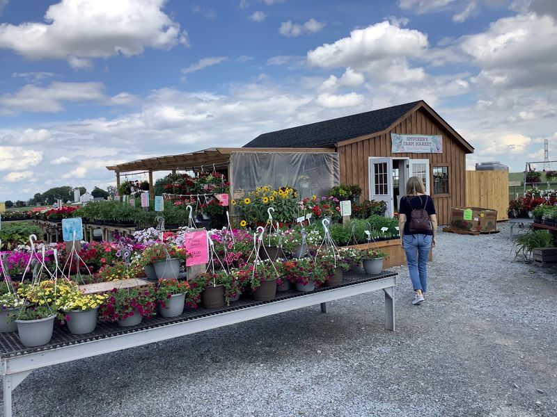 Smucker's Farm Market