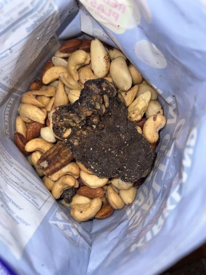 Nut and Seed Nightmare
