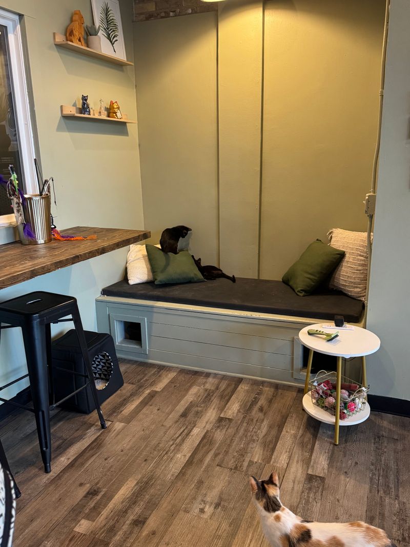 Meet Ray And Read Every Bio