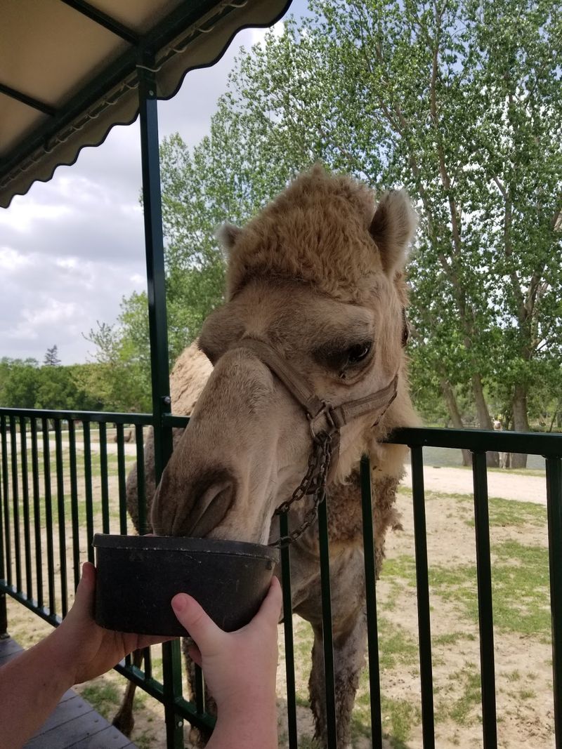 Snacks, Restrooms, and The Watering Hole