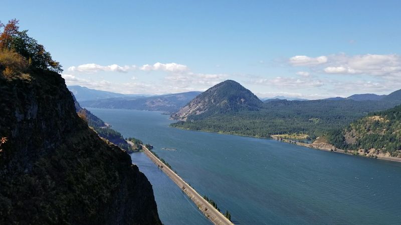 The Big-Picture Bite