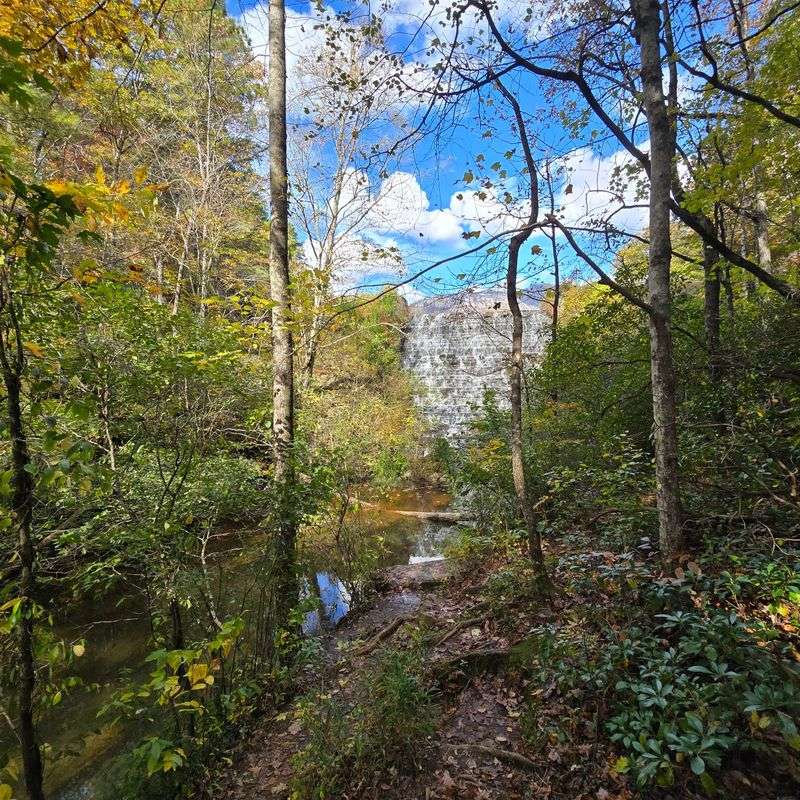 Snake-Smart Habits For A Fearless October Hike Snake-Smart Habits For A Fearless October Hike