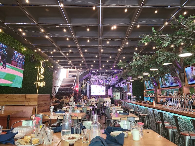 Tree House Chicago - Chicago