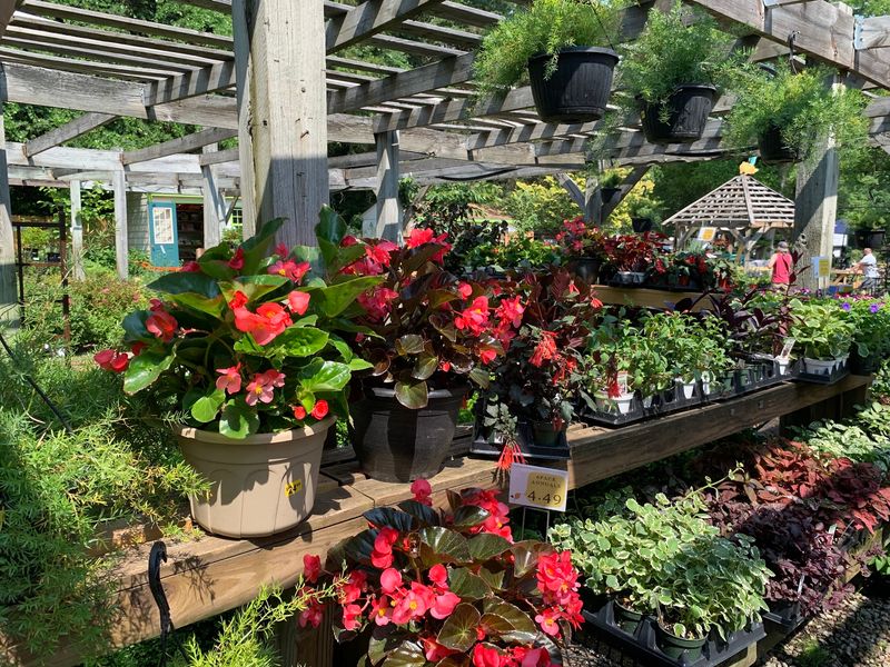 Sneed's Nursery Sneed's Nursery