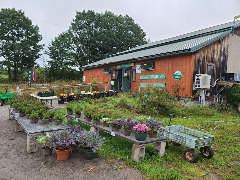 Snell Family Farm, Buxton