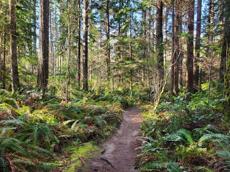 Snohomish County