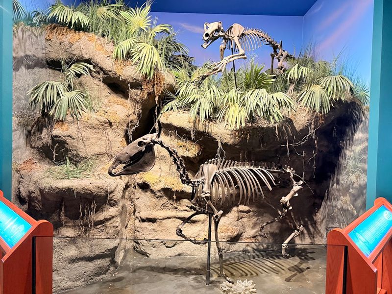 His Diet Was Carefully Managed By Expert Caretakers