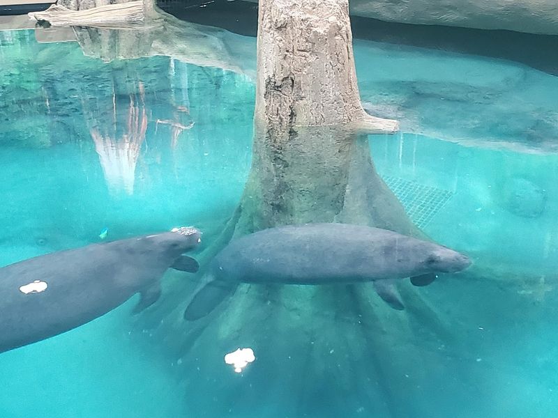 His Legacy Lives On In Bradenton And Beyond