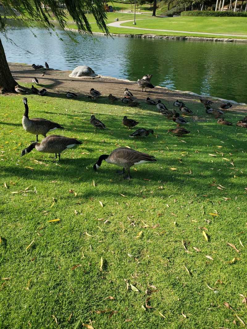 Join A Sea-Turtle Nesting Walk During Summer