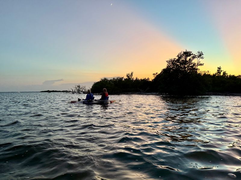 Paddle A Bioluminescent Kayak Tour On The Indian River