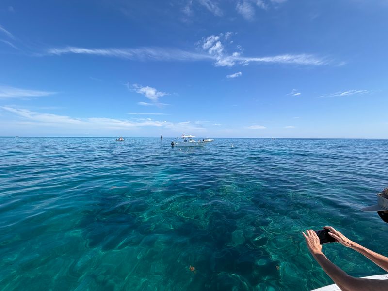 Snorkeling In Clear Keys Water