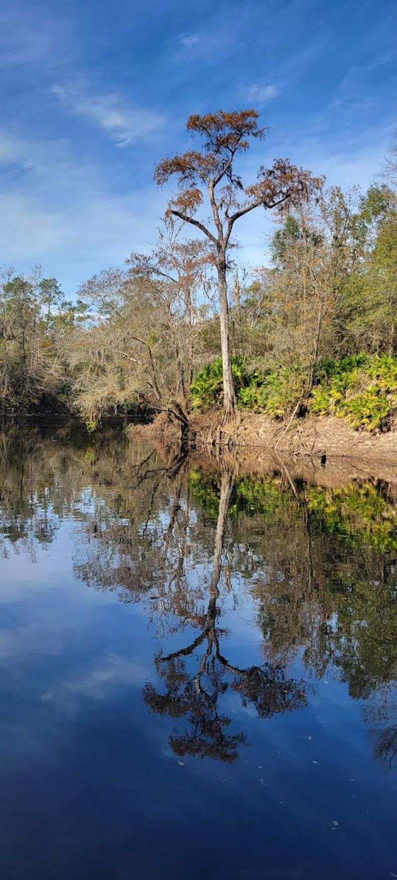 It Sits In A Corner Of Florida That Feels Genuinely Off The Beaten Path