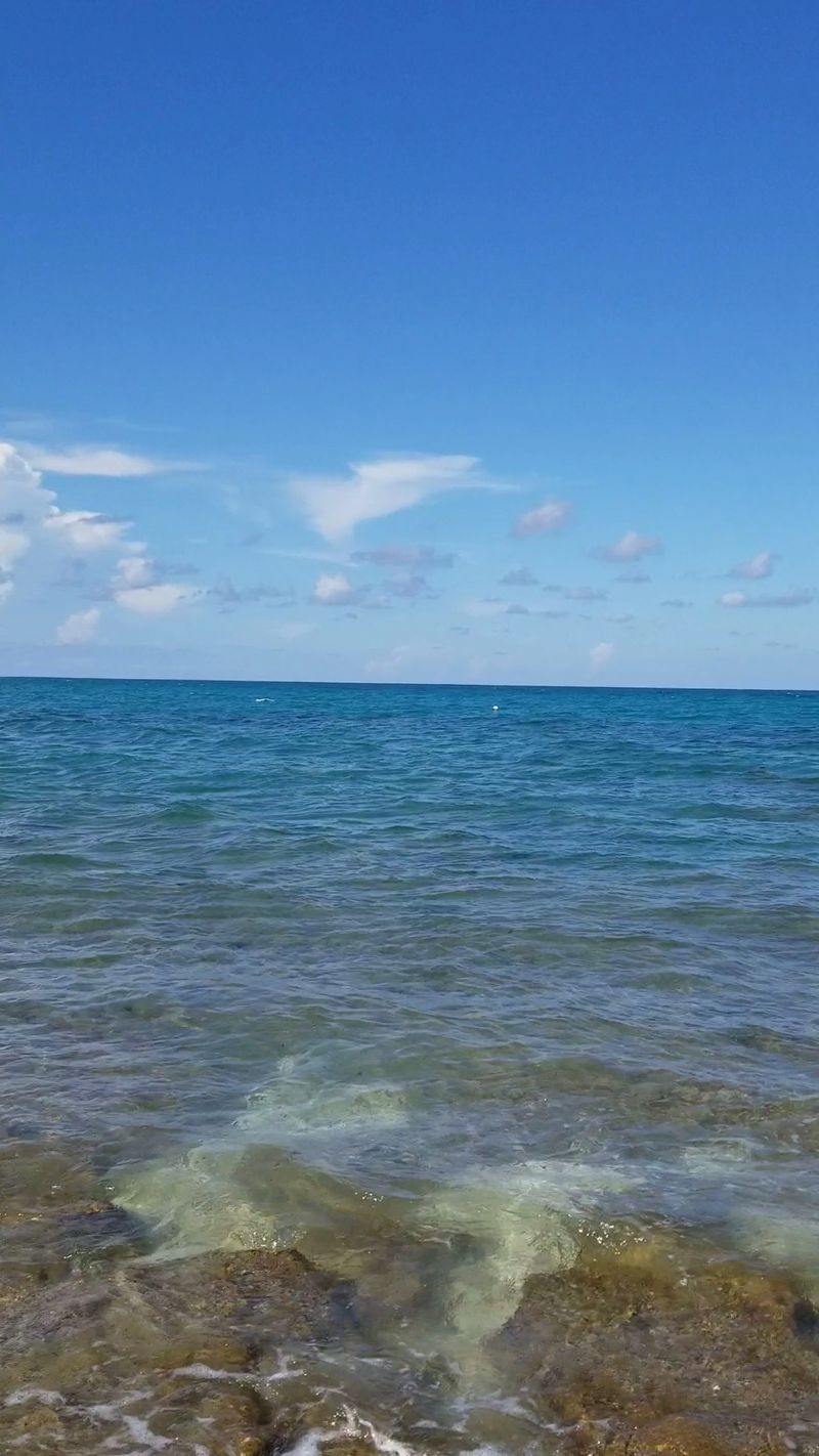 Snorkeling The Living Reef Just Offshore