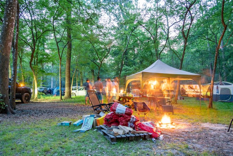 Camping Under The Pines And By The River