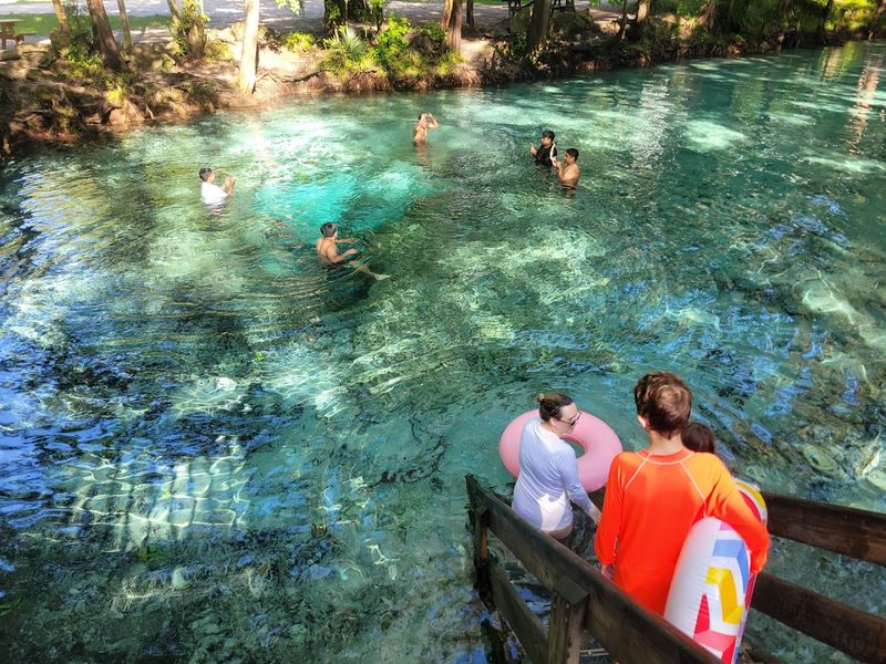 Snorkeling Through An Aquatic Wonderland Snorkeling Through An Aquatic Wonderland