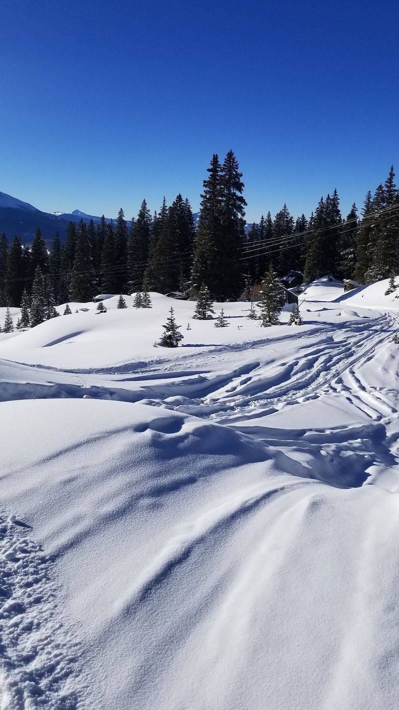 Snow Season Turns The Whole Area Into A Winter Playground Snow Season Turns The Whole Area Into A Winter Playground