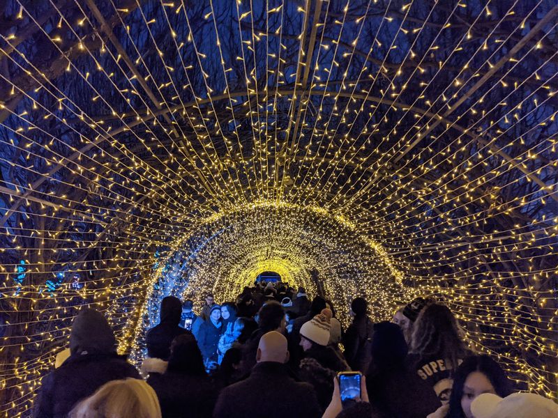 Snug Harbor