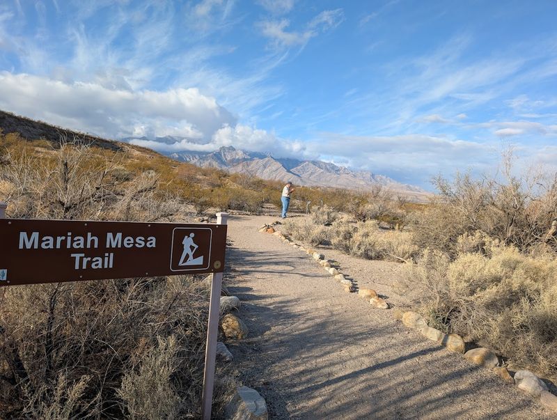 Hiking Trails With Views Worth The Effort