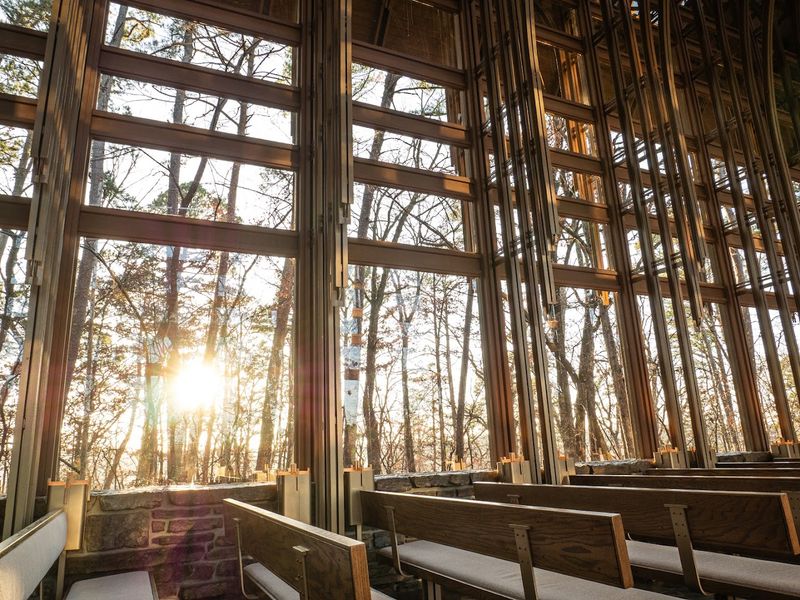 Light Filtering Through Pines