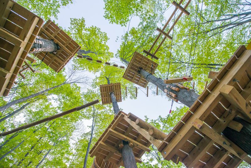 Soaring High On The Giant Dual Ziplines