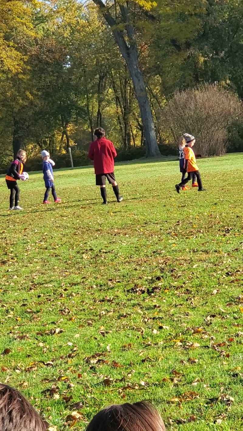 Soccer Fields And Sports Space