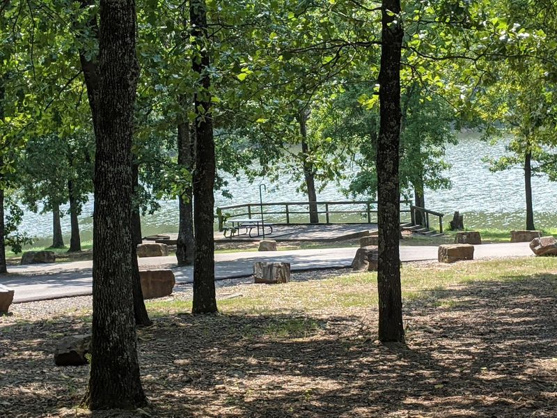 Soft Green Views Along The Shoreline