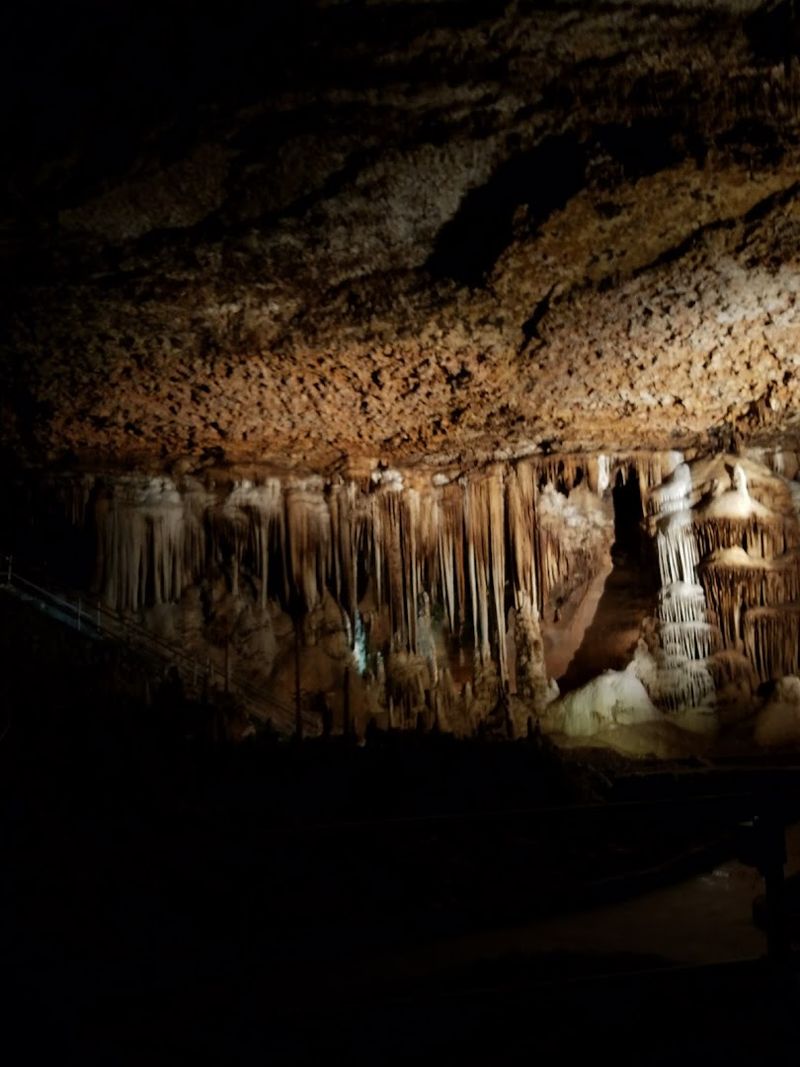 Soft Light Inside The Living Cave Soft Light Inside The Living Cave
