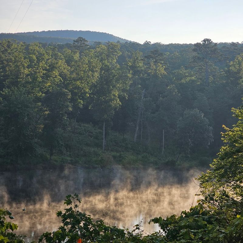 Soft Summer Views Across The Water
