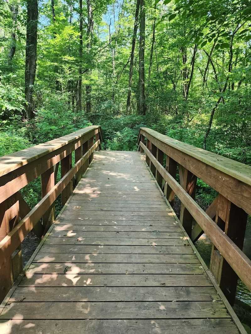 Soft Water Sounds Along The Trail