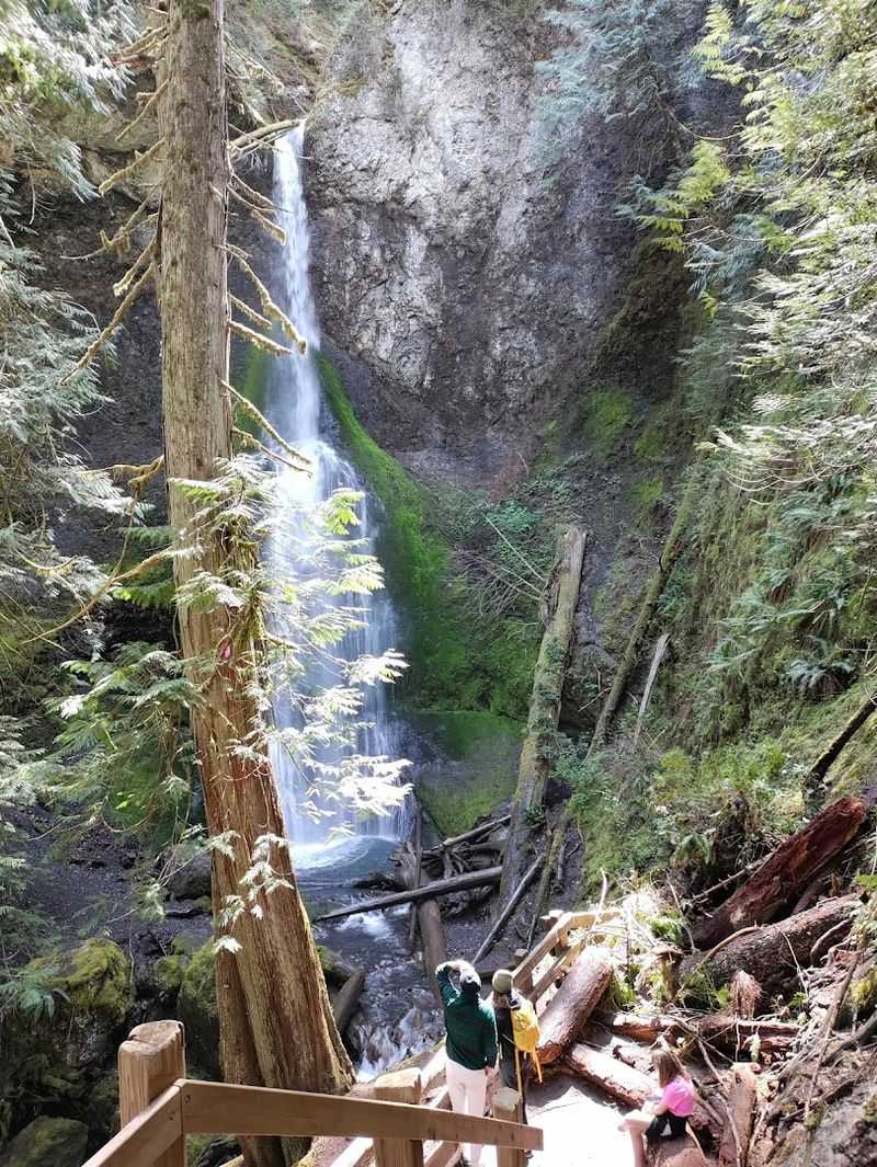 Marymere Falls Trail, Lake Crescent, Olympic National Park, WA